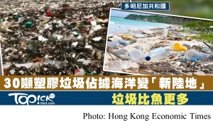 垃圾浪潮佔據海岸形成「新陸地」　30噸塑膠逾百年才分解 (Hong Kong Economic Times - 20180724)