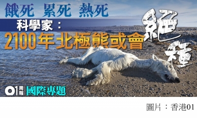 無家可歸又要捱餓　全球暖化下的北極熊哀歌 (香港01 - 20180810)