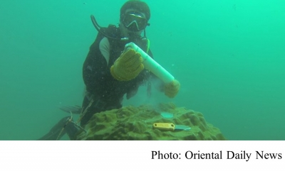 港大研究證海水污染釀珊瑚群落衰退 (Oriental Daily News - 20200210)