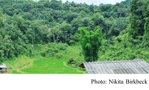 IUFRO Report Finds Forests Essential to Water Supply (IISD - 20180724)