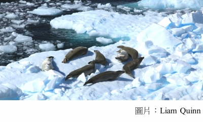 保護南極和地球，中國會投贊成票嗎？ (中外對話 - 20181024)