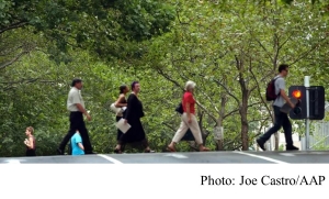 Melbourne&#039;s plane trees to be replaced by species resistant to climate change (The Guardian - 20191024)