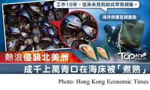 全球暖化引起熱浪提早侵襲北美洲　成千上萬青口在海床被「煮熟」死亡 (Hong Kong Economic Times - 20190704)