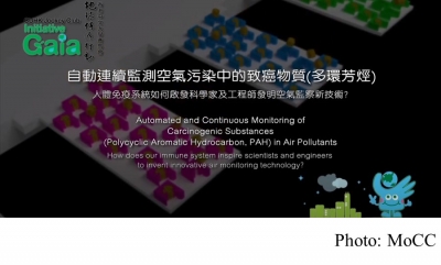 Automated and Continuous Monitoring of Carcinogenic Substances (Polycyclic Aromatic Hydrocarbon, PAH) in Air Pollutants