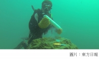港大研究證海水污染釀珊瑚群落衰退 (東方日報 - 20200210)