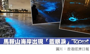 馬鞍山海岸出現「藍眼淚」　美麗奇景背後的海洋污染真相 (香港經濟日報 - 20190310)