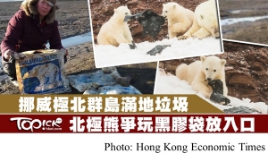 挪威極北群島北極熊爭玩黑膠袋　研究人員：島上近90%動物腸道有塑膠 (Hong Kong Economic Times - 20180716)