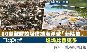 垃圾浪潮佔據海岸形成「新陸地」　30噸塑膠逾百年才分解 (香港經濟日報 - 20180724)
