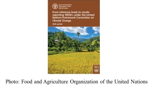 From reference levels to results reporting: REDD+ under the United Nations Framework Convention on Climate Change (UNFAO - 20201104)