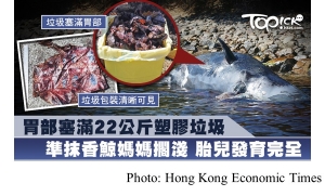 準抹香鯨媽媽胃部塞滿22公斤塑膠擱淺　胎兒發育完成慘死腹中 (Hong Kong Economic Times - 20190402)