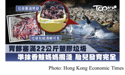 準抹香鯨媽媽胃部塞滿22公斤塑膠擱淺　胎兒發育完成慘死腹中 (Hong Kong Economic Times - 20190402)