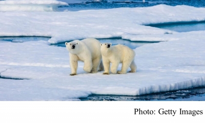 Alaska’s waters are now ice-free, scientists warn (The Independent - 20190807)