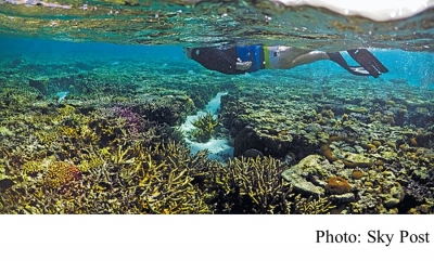 氣候變遷威脅自然遺產 大堡礁首列「瀕危」(Sky Post - 20210122)