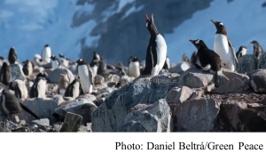 Campaign to save oceans maps out global network of sanctuaries (The Guardian - 20190404)