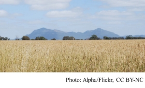 Climate change will reshape the world’s agricultural trade (The Conversation - 20180906)