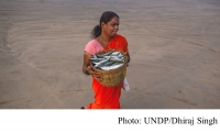 As consumption rises, here’s why sustainable fisheries management matters (UN News - 20200608)