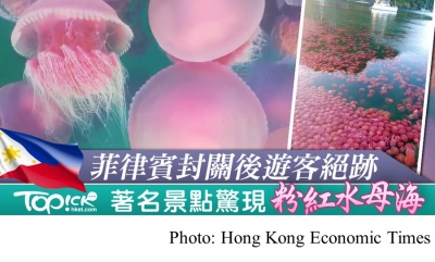 菲律賓封關旅遊勝地人煙絕跡　消失多年粉紅水母回歸暢泳 (Hong Kong Economic Times - 20200417)