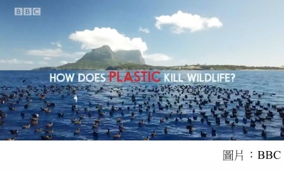 How does plastic kill wildlife?
