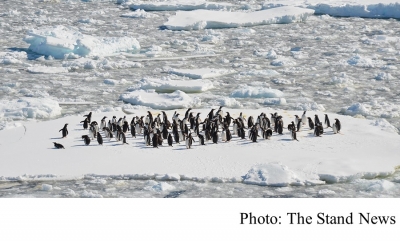 研究：即使達《巴黎協議》減排目標　南極融冰仍致全球海水水位漲 2.5 米 (The Stand News - 20200924)