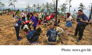 Tree planting events set (news.gov.hk - 20190308)