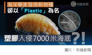 科學家發現全新物種　命名為「塑膠」　警醒世人塑膠已入侵深海 (有線新聞 - 20200327)