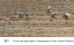 Integrating agriculture in national adaptation plans
