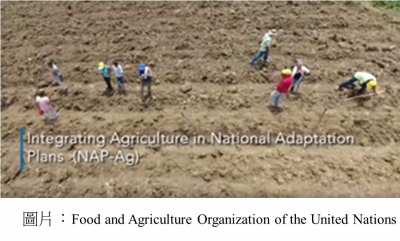 Integrating agriculture in national adaptation plans
