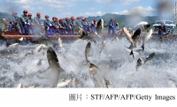 Earth's fish are disappearing because of climate change, study says (CNN - 20190228)