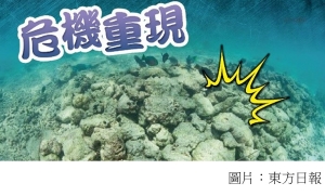 海水升溫引生態災難　小PP島珊瑚大規模白化 (東方日報 - 20190509)