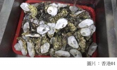 與餐廳合作　本港推首個回收貝類殼計劃　有助重建天然蠔礁 (香港01 - 20210422)