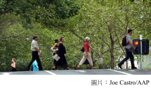 Melbourne&#039;s plane trees to be replaced by species resistant to climate change (衛報 - 20191024)