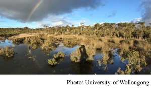 Wetland mud is &#039;secret weapon&#039; against climate change (BBC - 20190306)