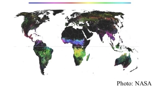 We’re at the peak of the global fire season (The Washington Post - 20190830)