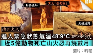 【澳洲山火】進入緊急狀態氣溫48.9°C如煉獄近5億動物死亡山火恐持續數月 (晴報 - 20200106)