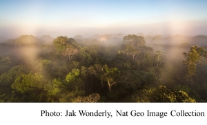 First study of all Amazon greenhouse gases suggests the damaged forest is now worsening climate change (National Geographic - 20210312)