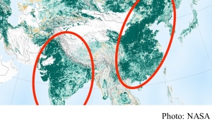 NASA Says Earth Is Greener Today Than 20 Years Ago Thanks To China, India (Forbes - 20190228)