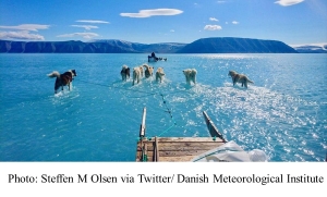 Surreal Image Of A Melting Greenland: Sled Dogs Mushing Through Endless Water (Forbes - 20190619)