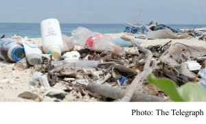 Seabirds found with more than 250 pieces of plastic lodged in their stomachs (The Telegraph - 20180924)