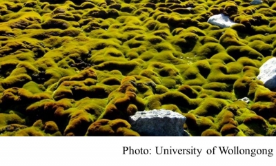 Climate change kills Antarctica&#039;s ancient moss beds (BBC - 20180925)