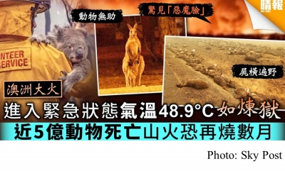 【澳洲山火】進入緊急狀態氣溫48.9°C如煉獄近5億動物死亡山火恐持續數月 (Sky Post - 20200106)