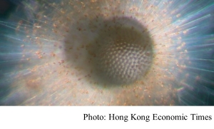 熱帶海洋生物多樣性持續下降　港大研究發現疑與海洋暖化有關 (Hong Kong Economic Times - 20200526)