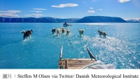 Surreal Image Of A Melting Greenland: Sled Dogs Mushing Through Endless Water (Forbes - 20190619)