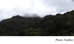 Alarming Study Links &#039;Collapse&#039; of Rainforest Food Web to Rising Temperatures (Earther - 20181016)